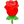 :rose:
